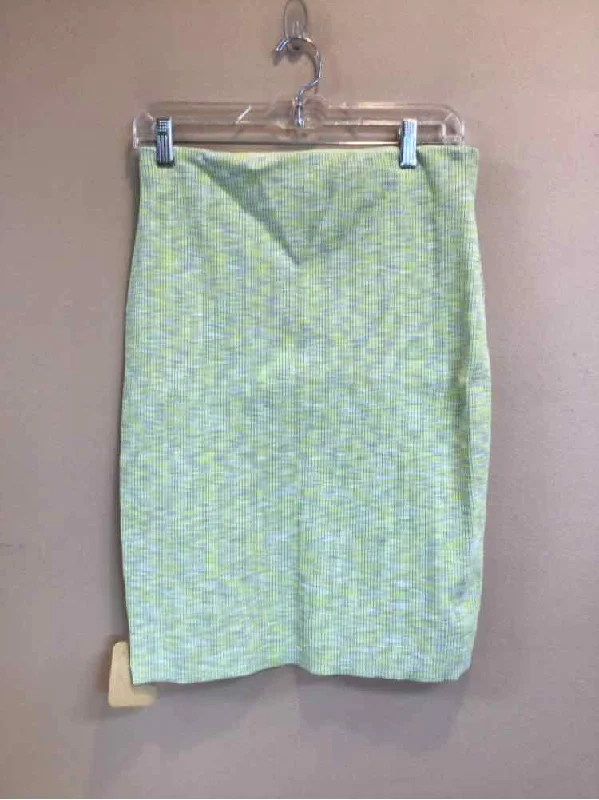 EXPRESS SIZE LARGE Ladies SKIRT